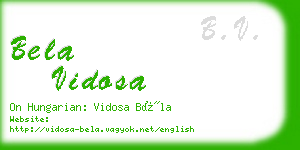 bela vidosa business card